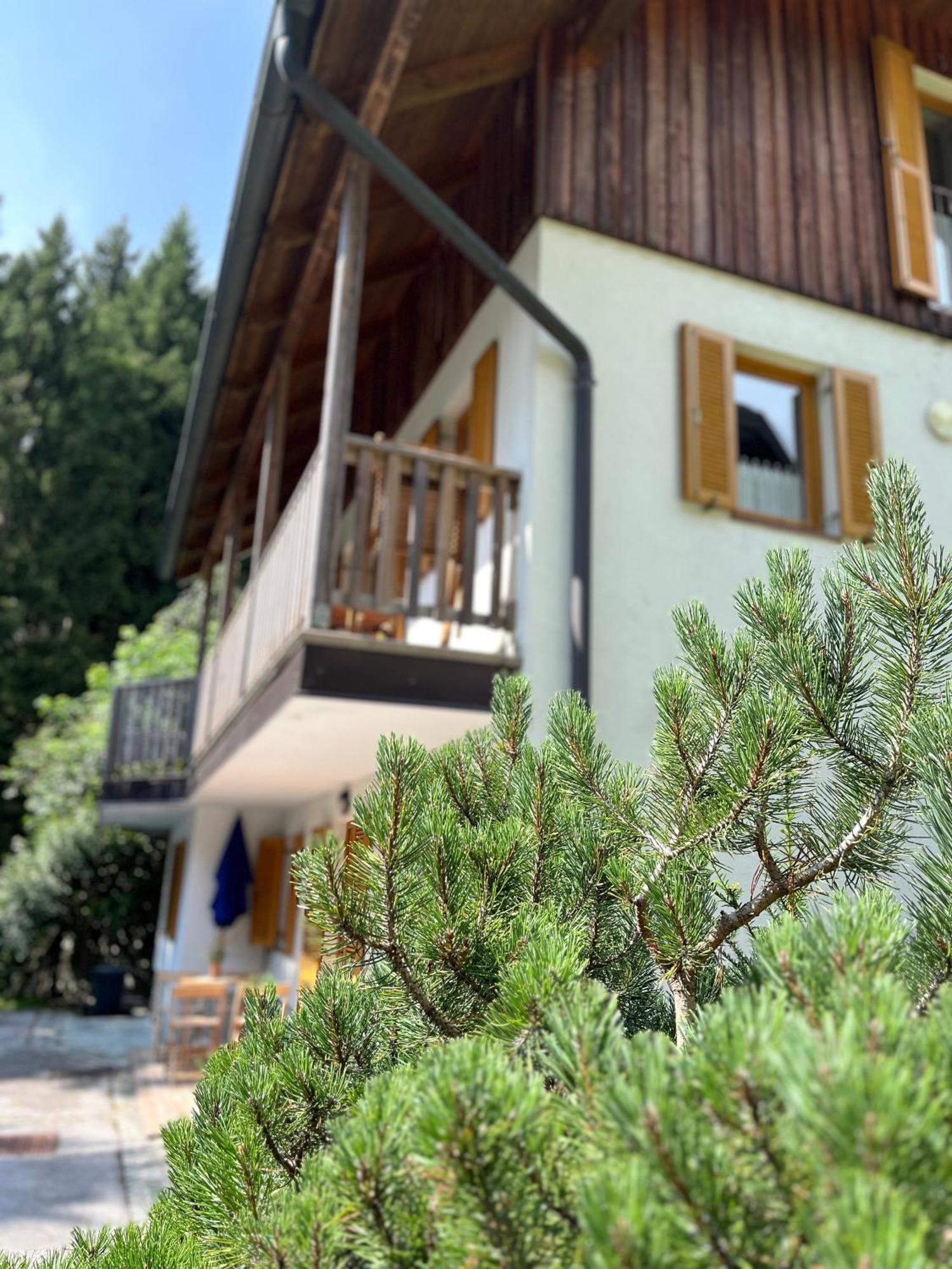 Zreče Chalet Harmony Rogla - Apartment מראה חיצוני תמונה