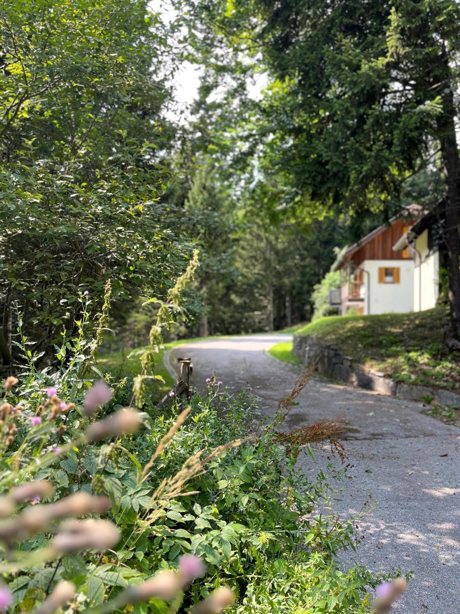 Zreče Chalet Harmony Rogla - Apartment מראה חיצוני תמונה